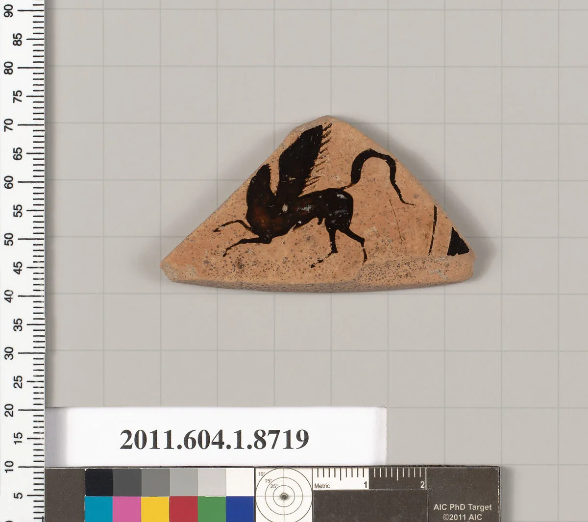 Terracotta fragment of a kylix (drinking cup) — Unknown