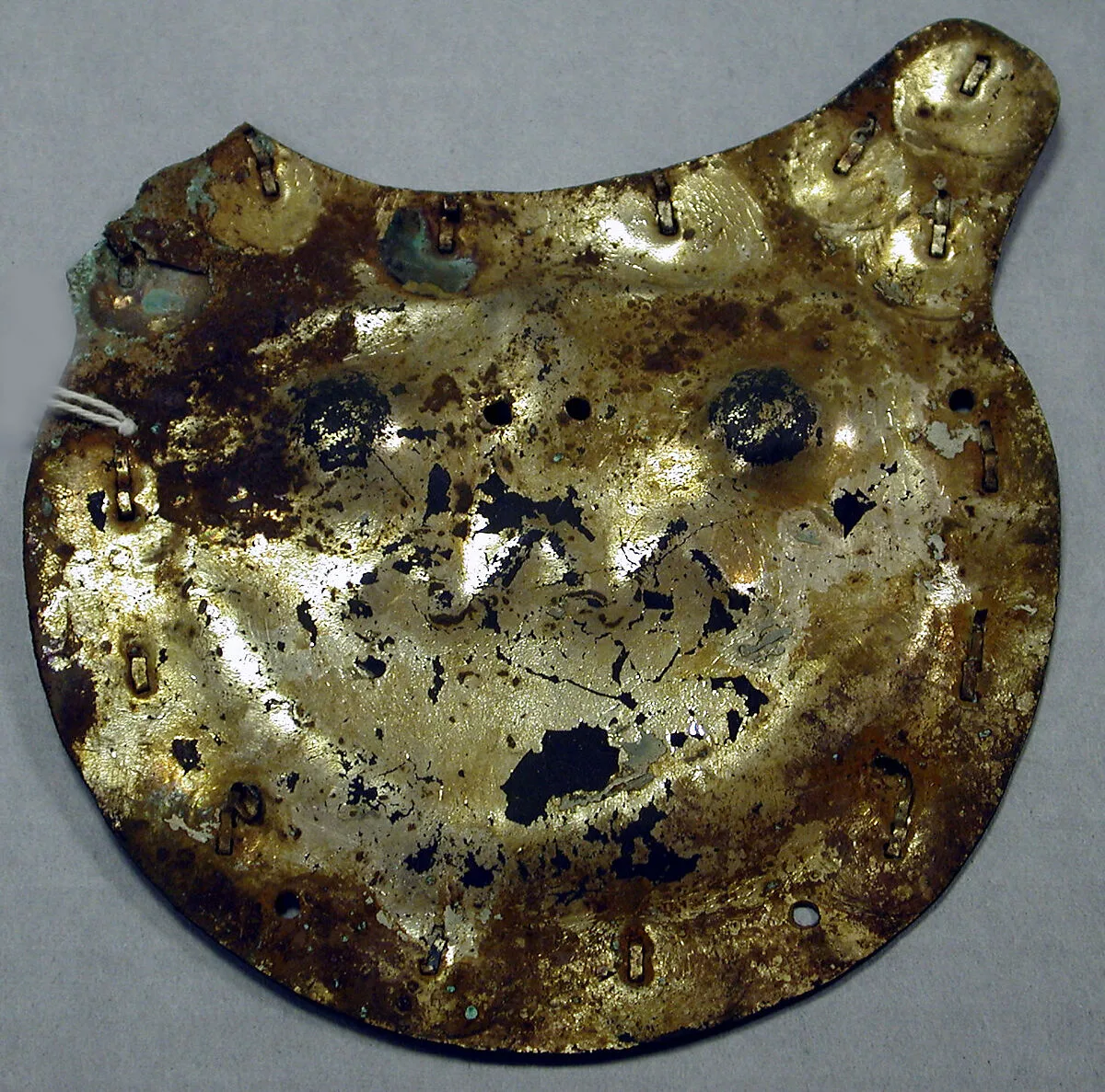 Copper Animal Plaque — Unknown