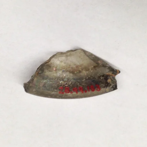Fragment