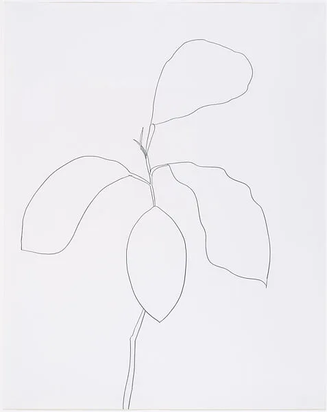 Orange — Ellsworth Kelly