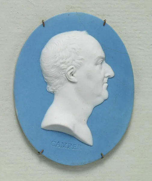 Peter Camper — Josiah Wedgwood|Josiah Wedgwood and Sons
