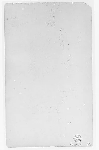 Flowers (from Sketchbook) — Thomas Moran