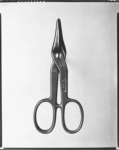 [Tin Snips]