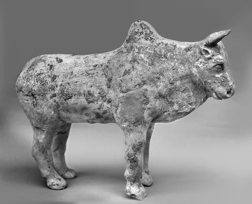 唐 陶牛|Ox