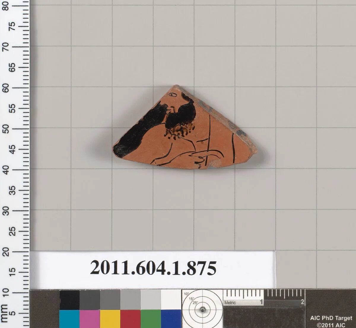 Terracotta fragment of a kylix (drinking cup) — Unknown