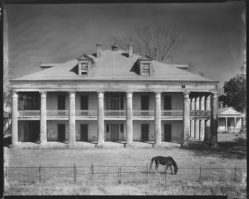 [Uncle Sam Plantation House with Horse Grazing in Yard, St. James Parish, Louisiana]