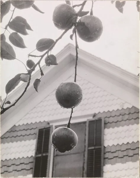 Gable and Apples — Alfred Stieglitz