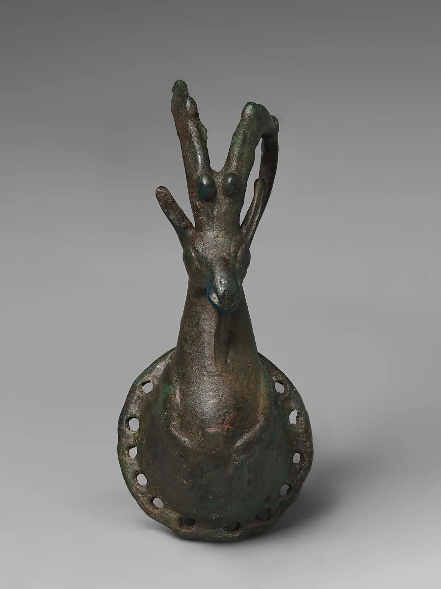 Forepart of an ibex — Unknown