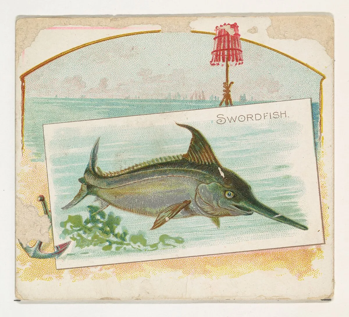 Swordfish, from Fish from American Waters series (N39) for Allen & Ginter Cigarettes — Lindner, Eddy & Claus|Allen & Ginter