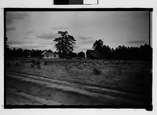[Wooden Houses by Road, From Moving Automobile, Macon, Georgia]