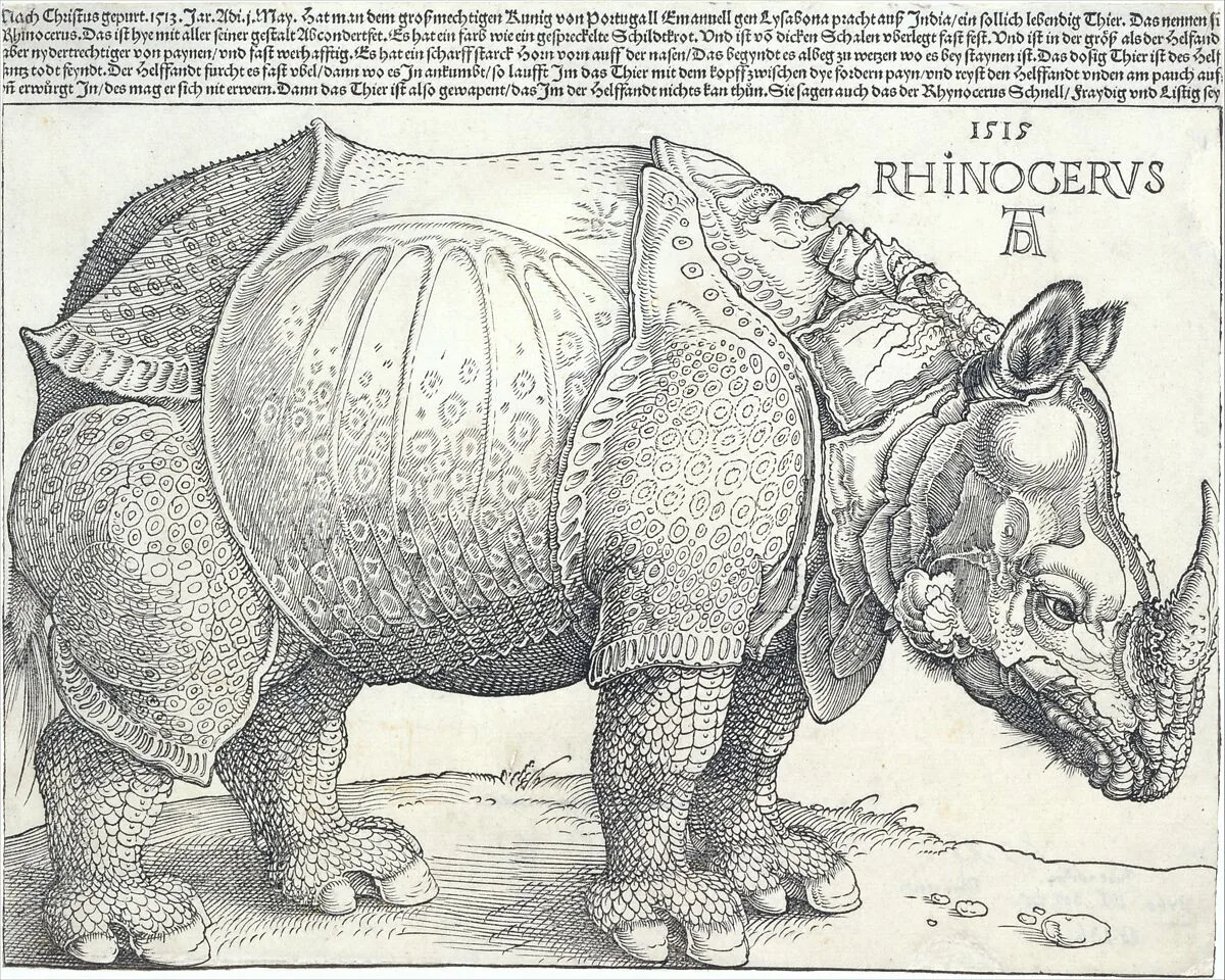 The Rhinoceros — Albrecht Dürer
