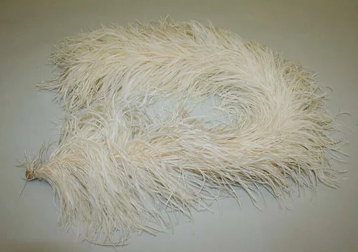 Boa