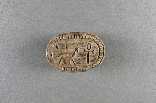 Scarab