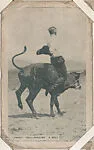 Cowboy "Bull-Dogging" a Bull from Indians and Historical Western Scenes series (W417) — Unknown