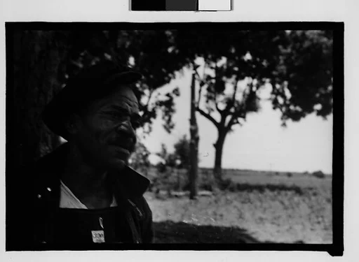 [Man Wearing Cap and Overalls with Field in Background, Hale County?, Alabama]