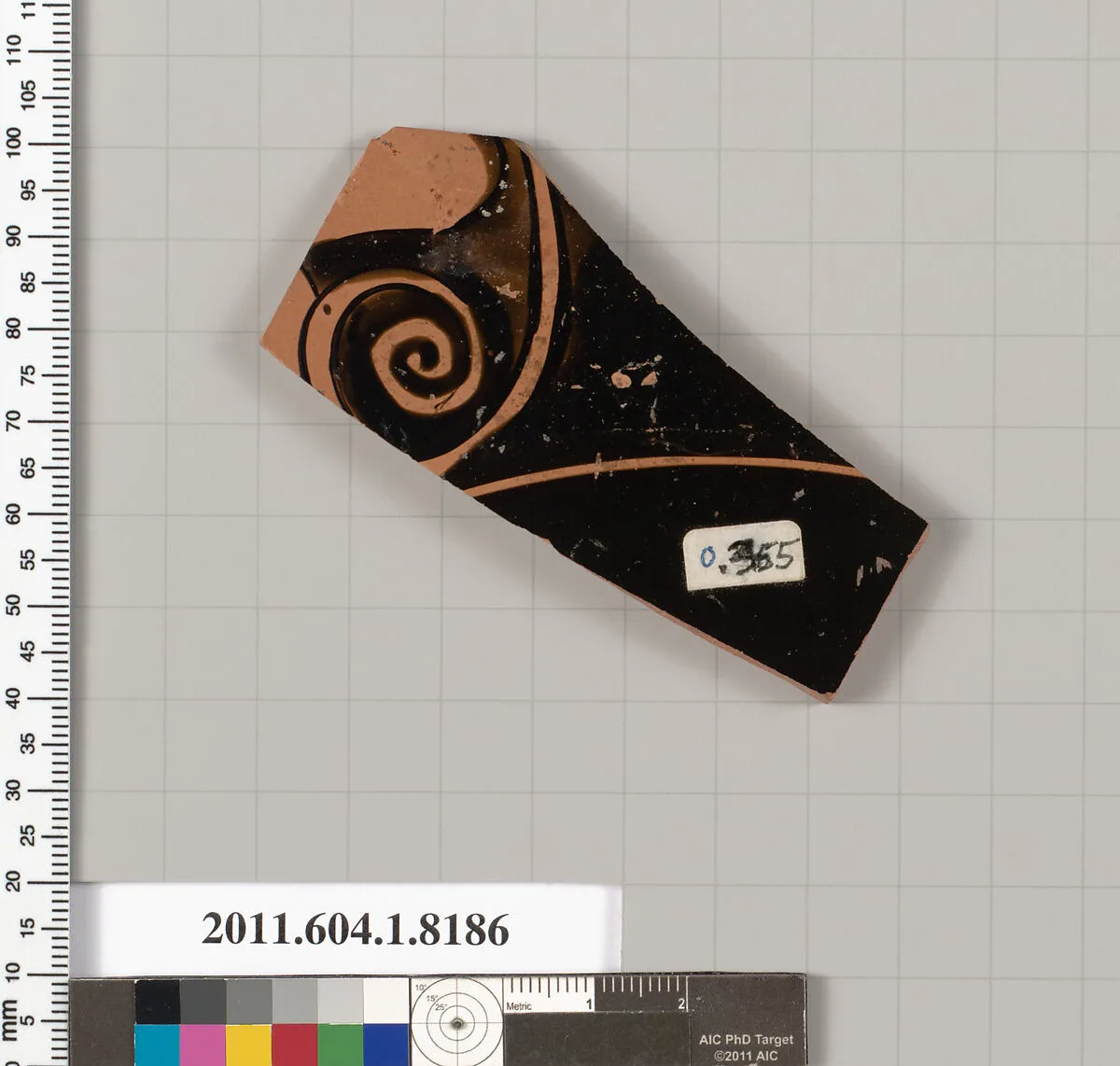 Terracotta fragment of a kylix (drinking cup) — Unknown