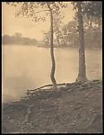 [Trees By Side of Lake]