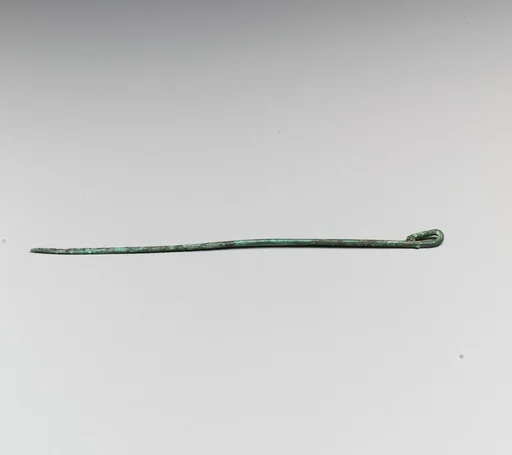 Pin with hooked head