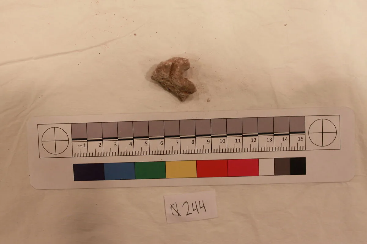Stucco Fragment — Unknown