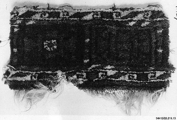 Carpet Fragment — Unknown