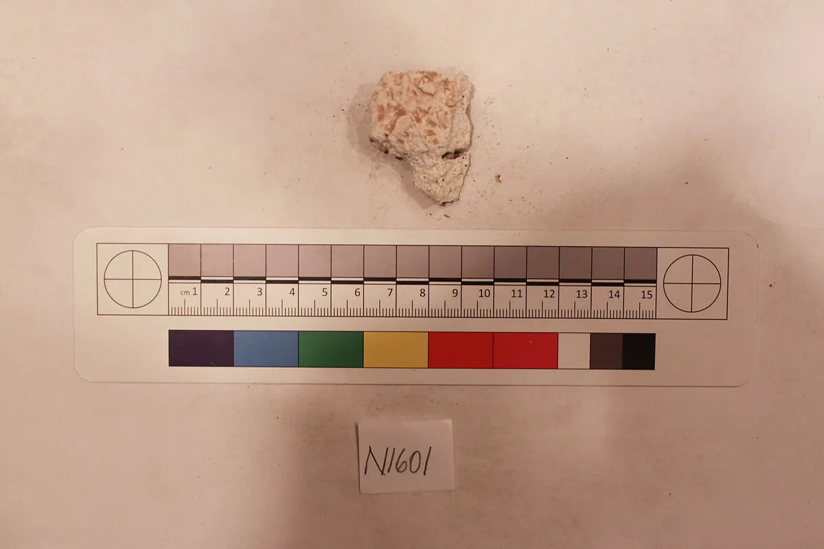 Stucco Fragment — Unknown