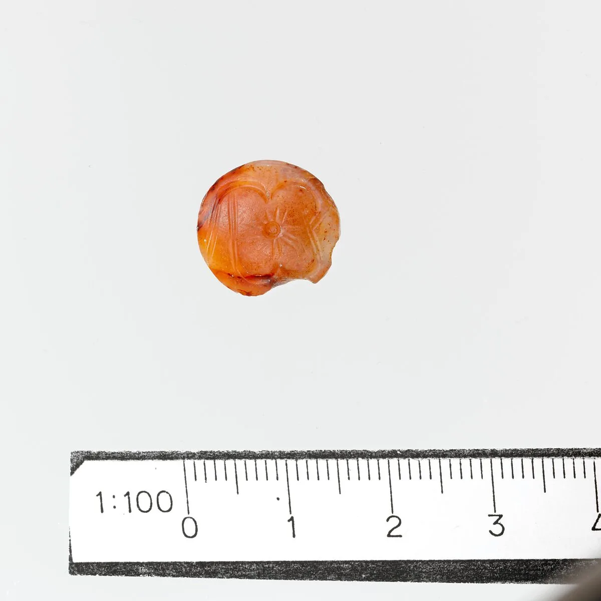 Seal — Unknown