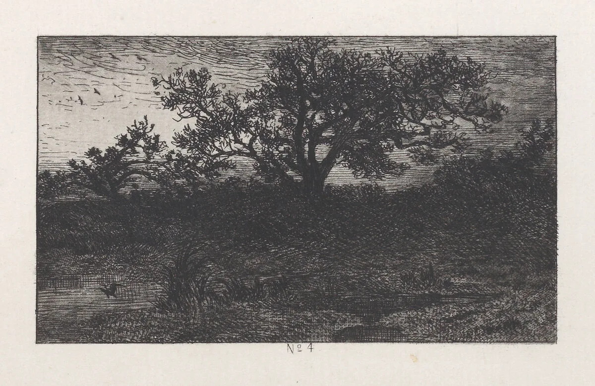 Landscape with a Pond — Charles Jacque