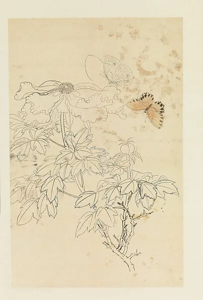 現代 謝稚柳 牡丹蛺蝶圖 軸|Peonies and Butterflies — Xie Zhiliu