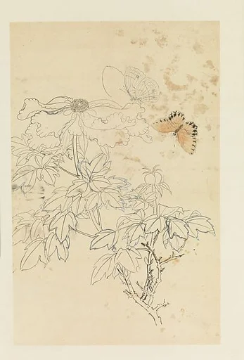 現代 謝稚柳 牡丹蛺蝶圖 軸|Peonies and Butterflies