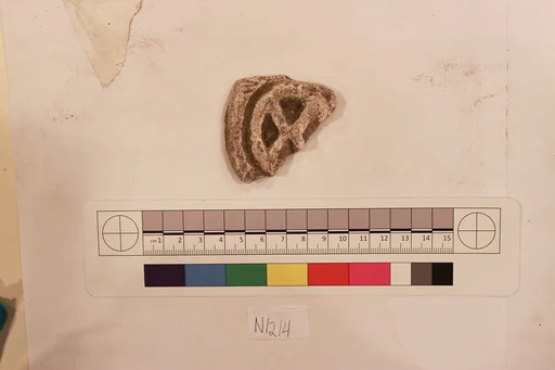 Stucco Fragment