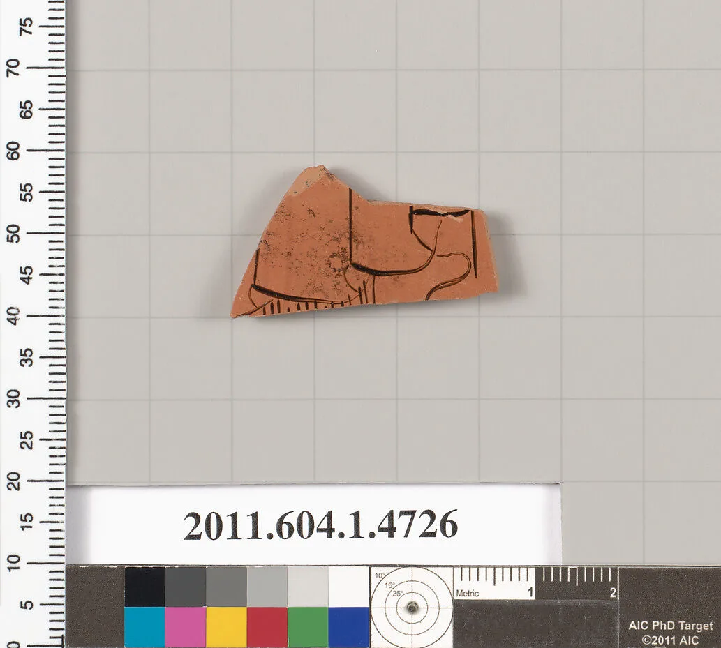 Terracotta fragment of a kylix (drinking cup) — Unknown