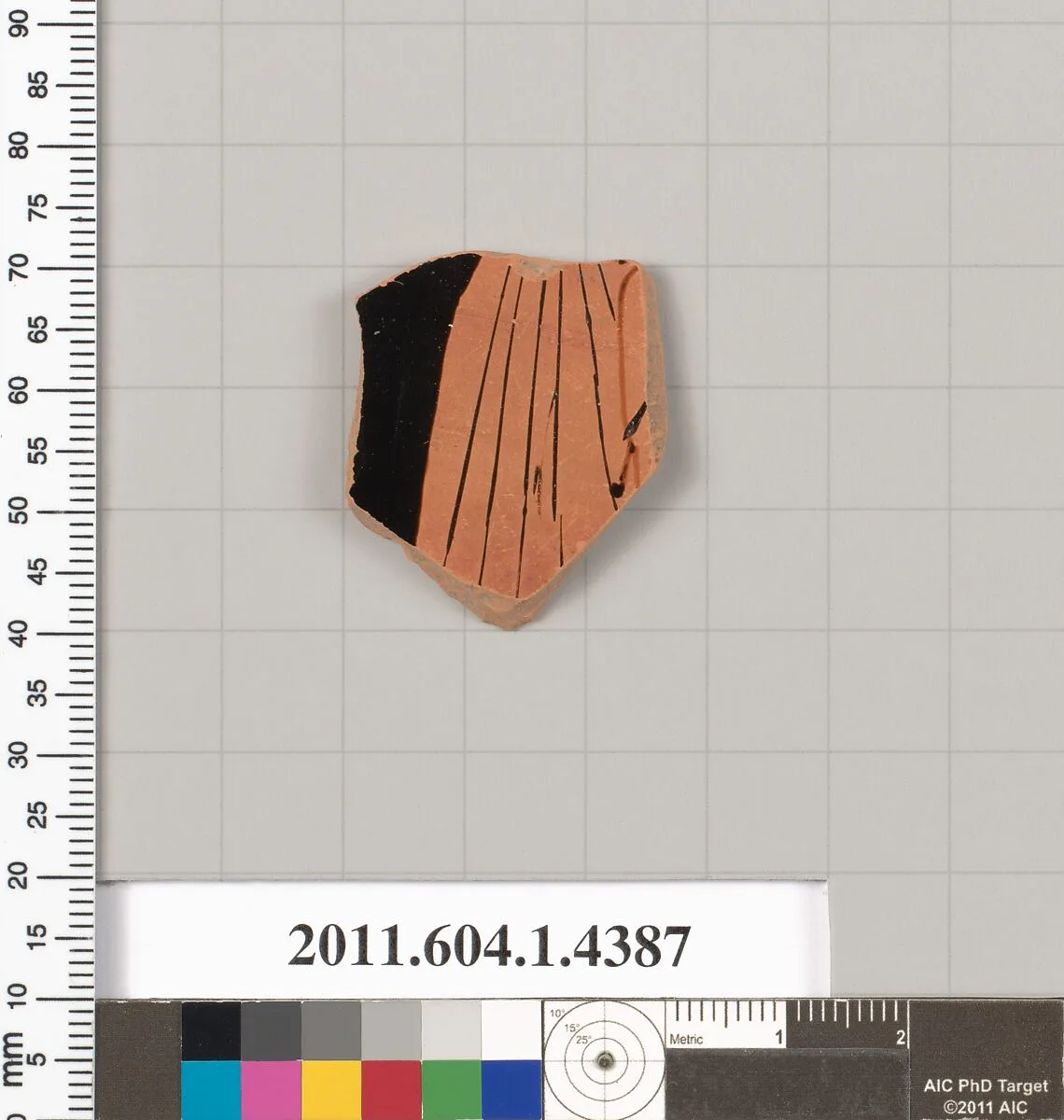 Terracotta fragment of a kylix (drinking cup) — Unknown