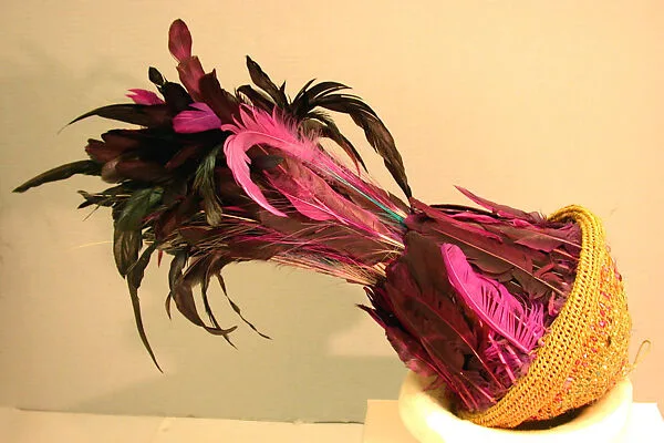 Feather Headdress — Unknown