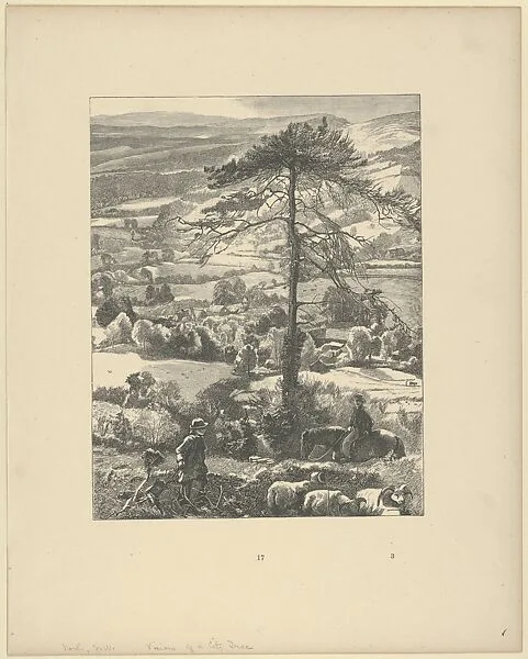 The Visions of a City Tree, from "Picture Poesies" — John William North|Dalziel Brothers|George Routledge & Sons, London