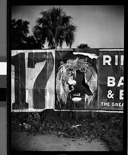 [Torn Ringling Brothers Circus Poster, Florida]