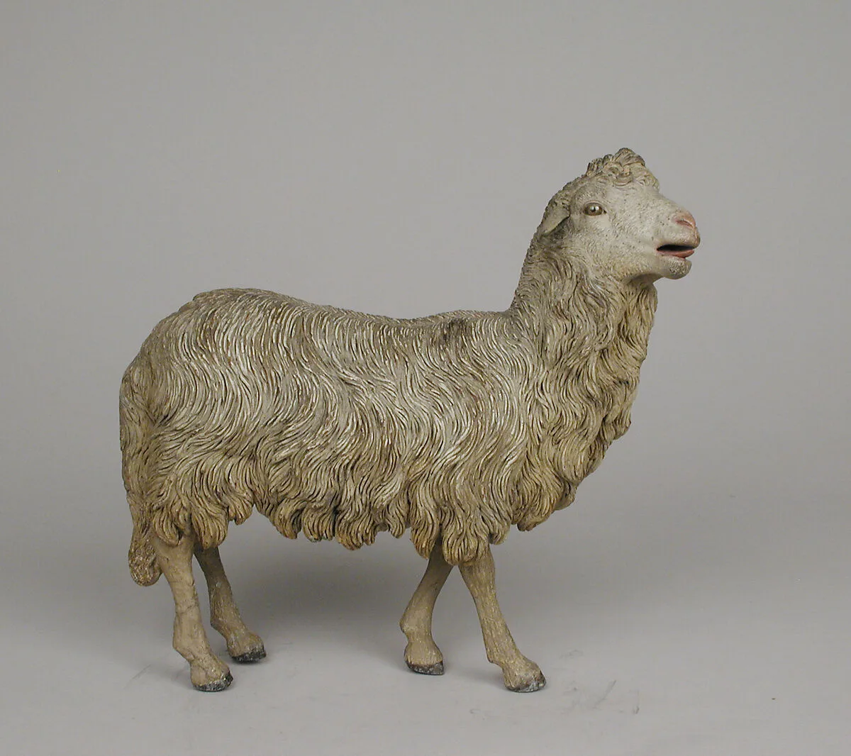 Standing sheep — Unknown