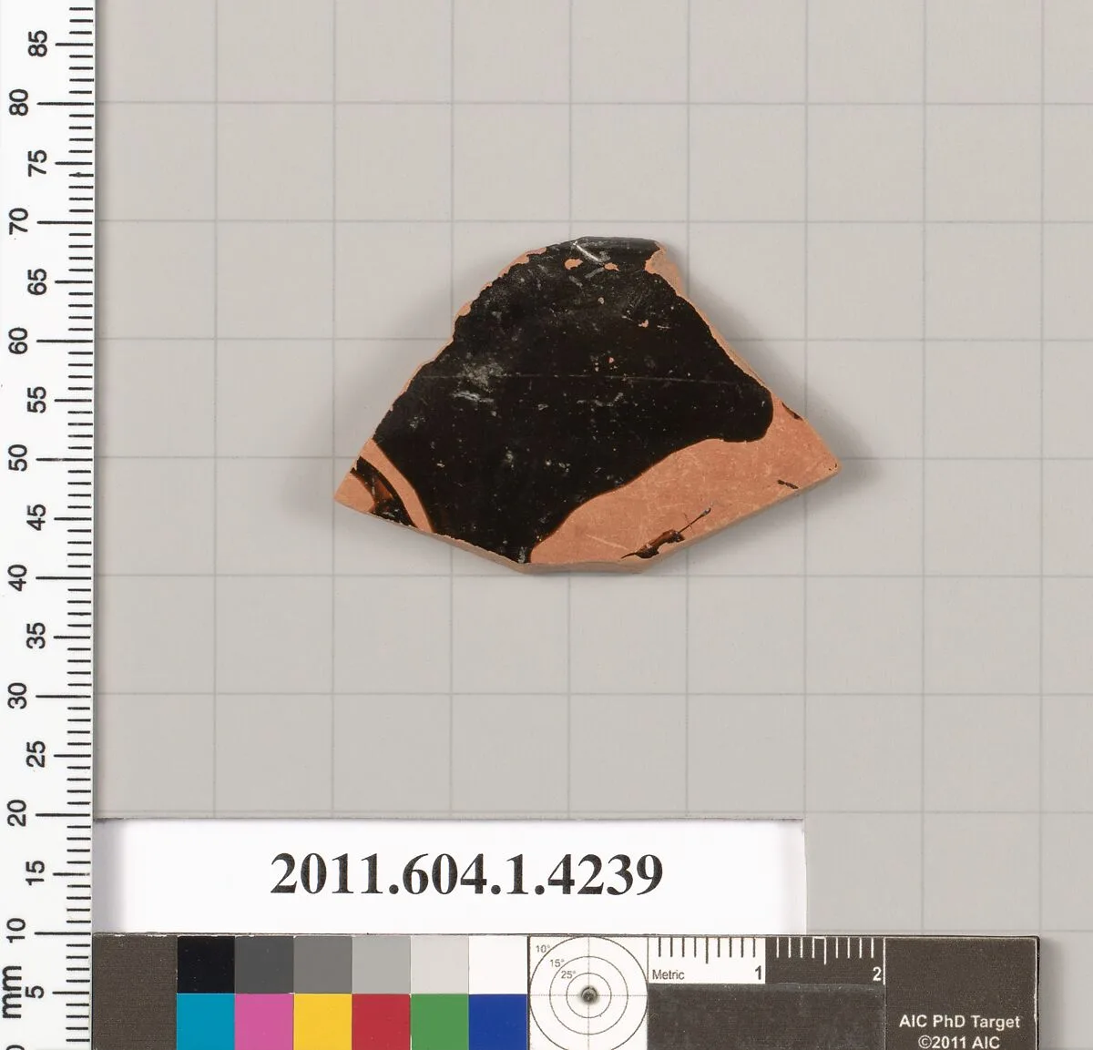 Terracotta fragment of a kylix (drinking cup) — Unknown