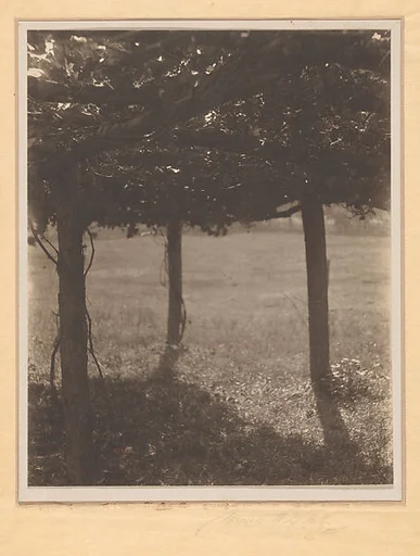 The Arbor