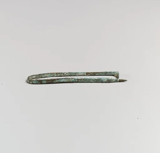 Fibula or pin
