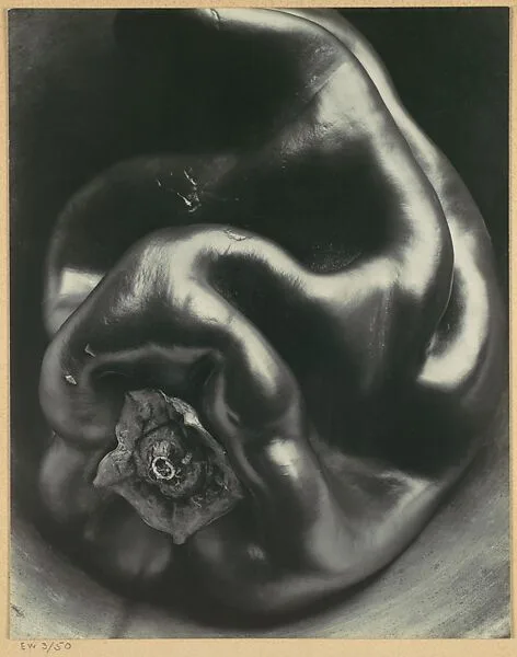 Pepper No. 35 — Edward Weston