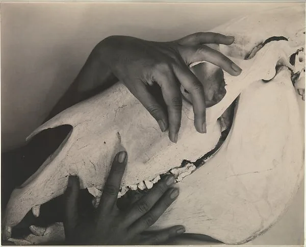 Georgia O'Keeffe—Hands and Horse Skull — Alfred Stieglitz