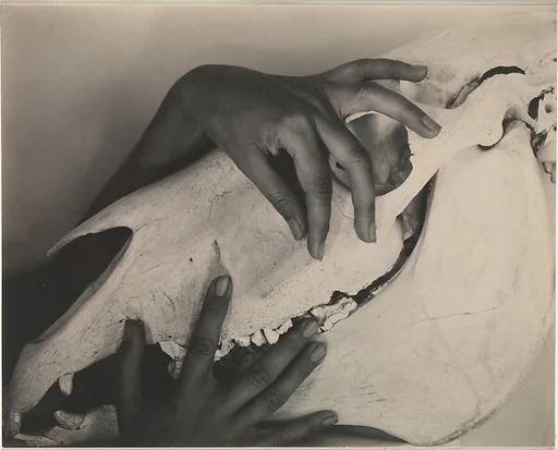 Georgia O'Keeffe—Hands and Horse Skull