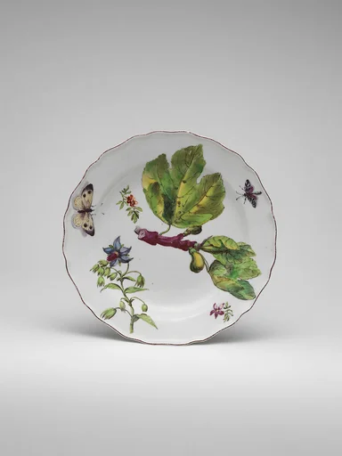 Botanical plate with spray of fruiting fig