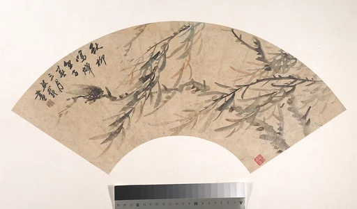 清 吳熙載 蟬柳 扇面|Cicada