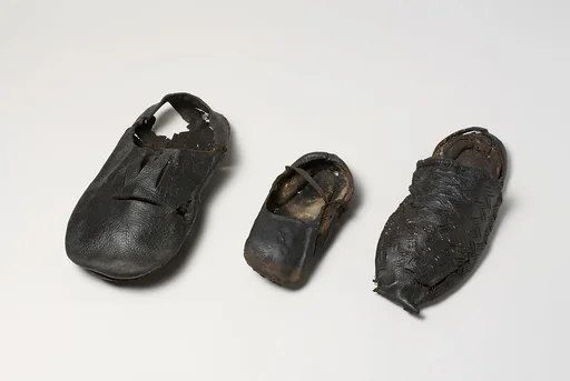 Shoe