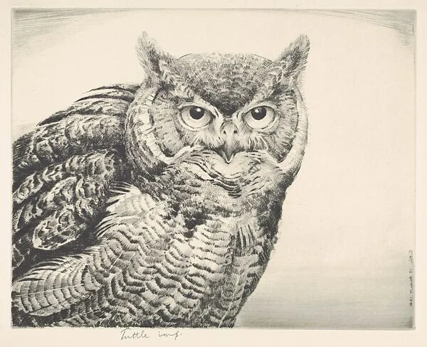 Great Horned Owl — Henry Emerson Tuttle