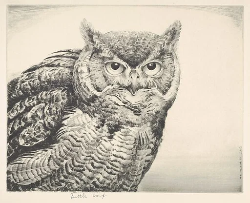 Great Horned Owl