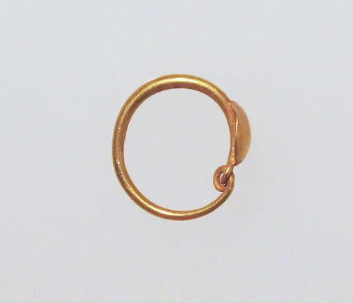 Earring with plain loop and disc