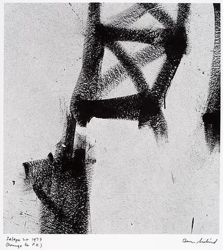 Jalapa 24, (Homage to F. K.)