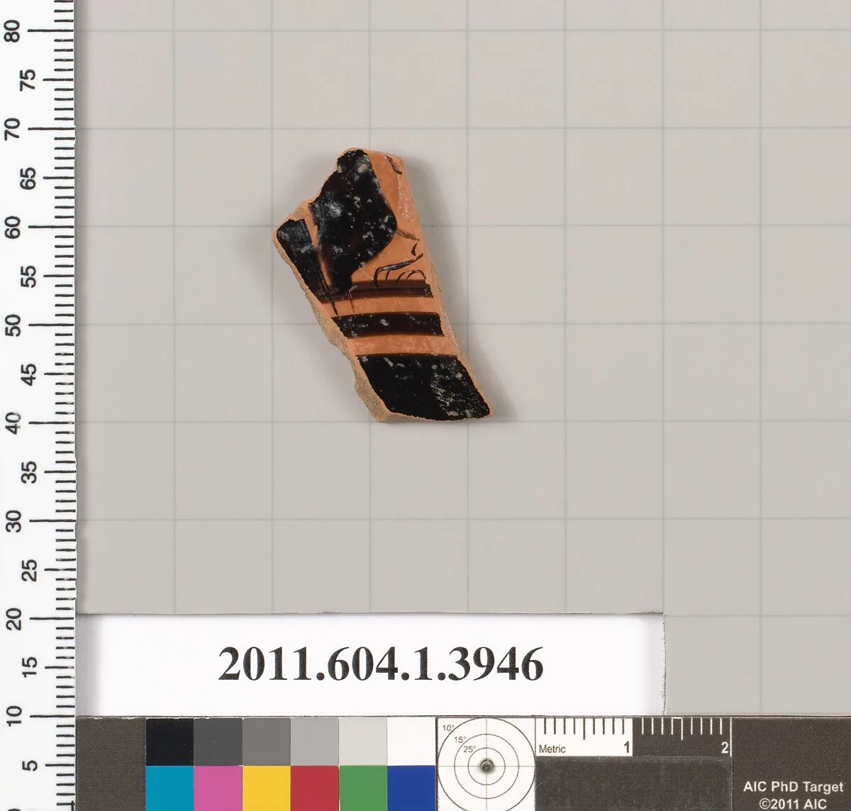 Terracotta fragment of a kylix (drinking cup) — Unknown
